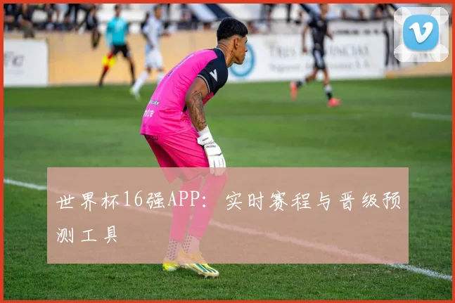 世界杯16强APP:实时赛程与晋级预测工具