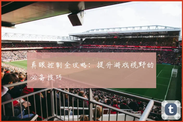 真眼控制全攻略:提升游戏视野的必备技巧
