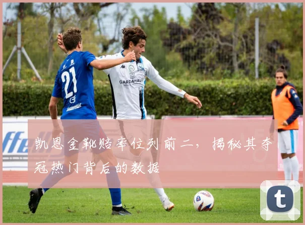 凯恩金靴赔率位列前二,揭秘其夺冠热门背后的数据